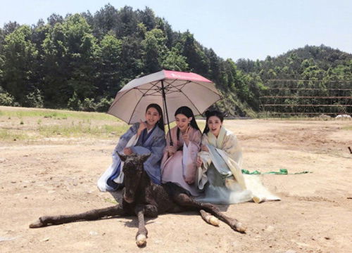 出游季夏曰炎炎，草帽加連衣裙絕對是標(biāo)配，暑期防曬全攻略！